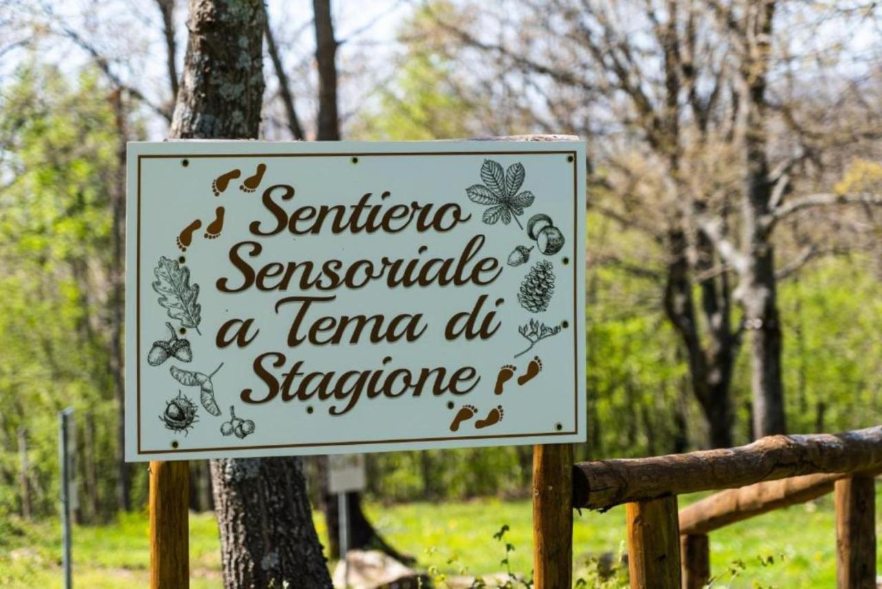 Villaggio Anemone - Chalet Anemone Capanne di Sillano Buitenkant foto